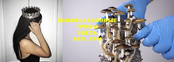 гидропоника Саяногорск