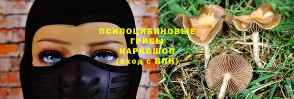 мескалин Сатка